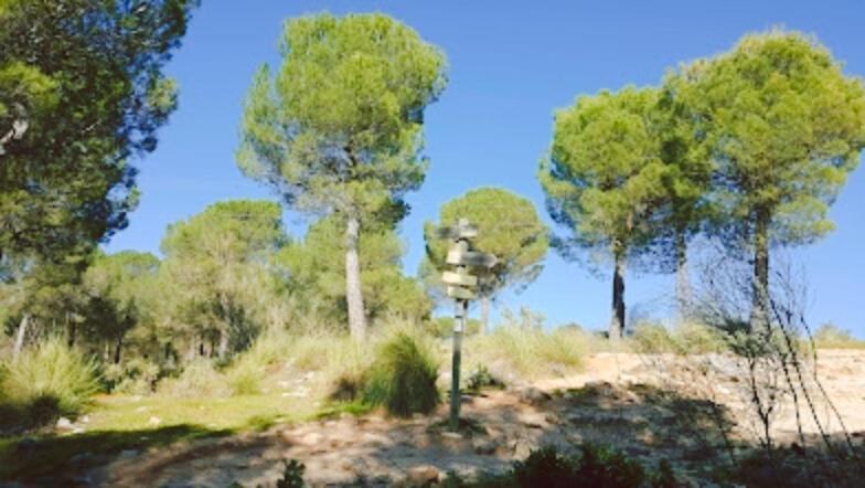 Hacienda Puerto De Las Muelas รอนดา ภายนอก รูปภาพ